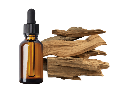 Santal alba