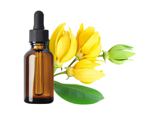 Ylang-Ylang III